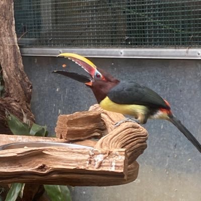 Littlehope881's profile picture. You have to believe to Achieve