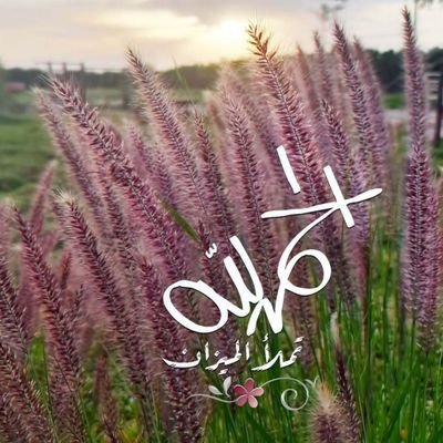 sm3741's profile picture. مهتمة بالإدارة، التدريب