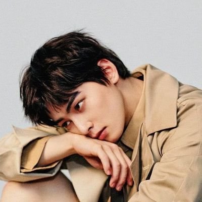 this account is dedicated to singer and actor cha eunwoo