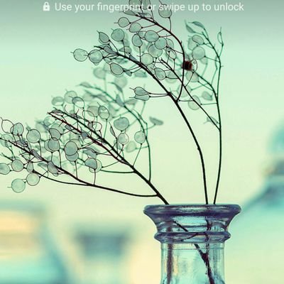 WARDMOH86116478's profile picture. The live is Easy and Nice