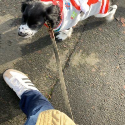 LouieBowen13's profile picture. 