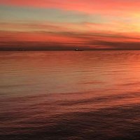 Tarek Scorpion (@scorpiontarek) 's Twitter Profile Photo