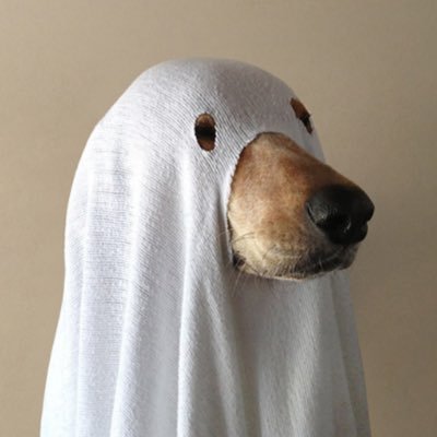 Apenas um ghost.