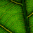 RushingOn's profile image