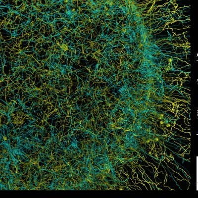 Dr. Darren Thomson's page on #infection #microscopy #fungal #polarity. Senior Experimental Officer @MRCcmm @UoEBiosciences