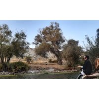 Katre (@madame_yii) Twitter profile photo