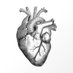 HCPA Cardio Fellows (@cardiohcpa) Twitter profile photo HCPA Cardio Fellows (@cardiohcpa) Twitter profile photo