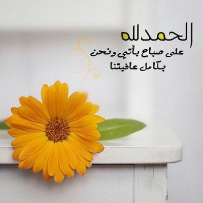 RanaaKiswani's profile picture. 