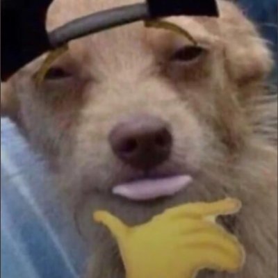 😎👍