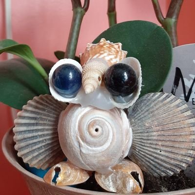 ETSY LINK IN BIO! Handmade shell decor! 🐚💜🐚

Bringing the shoreline to your shelves! 😉🐚😉

By Justine Rose

Etsy Shop Open Now!