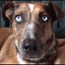 Mary Clark (@comadreverde) Twitter profile photo Mary Clark (@comadreverde) Twitter profile photo