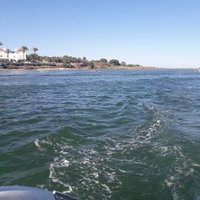 Ema Marques (@emamarques13) 's Twitter Profile