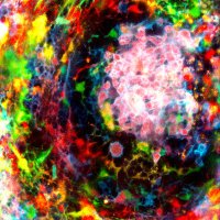 Moseman Lab (@mosemanlab) 's Twitter Profile