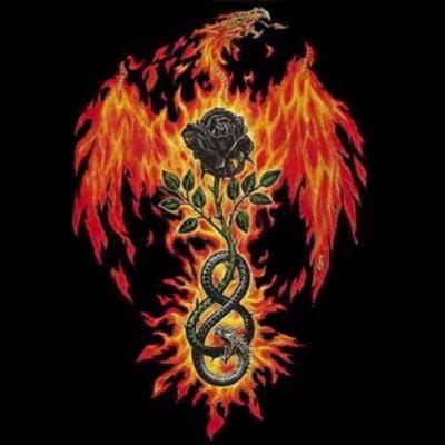 ExaltedVanguard's profile picture. https://t.co/UmYRIFNXNK Developer

(I use rust btw)