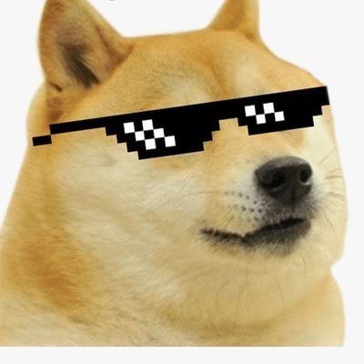 long until 1 $cent for 1000%+ gains $iota $cro #xdc #dogeceo
#shibceo #FlokiCeo #goldeninu #babybnbtiger