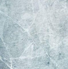 tomashovy's profile picture. 