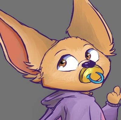 Toot toot? 🔞 Finnick / Fennec Fox 🦊 / Wants to be an elephant 🐘 / Secretly a big baby 🍼 / Will bite your face off!