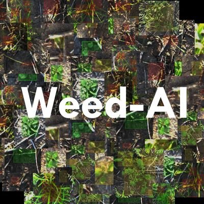 WeedAI_news's profile picture. All the latest news and dataset updates from Weed-AI, an opensource repository for annotated weeds imagery used in #deeplearning.

Managed by @weedcontrollab