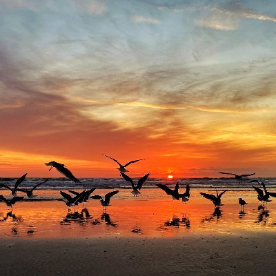 alyssa_azhari's profile picture. I tweet about instructional design, eLearning, training, workforce development, photography, travel, education, technology, & personal.