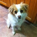 Kara Schweitzer - @KaraSchweitzer - Twitter