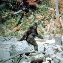 Chris Holroyd - @6cdh9 - Twitter