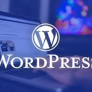 I will do web design and build complete website