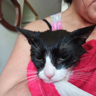 avallejos2005's profile picture. mujer, sobreviviendo a la maternidad y al trabajo...