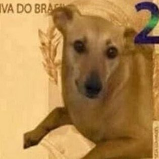 Meta: seguir 1 milhão de brasileiros dps dobra a meta