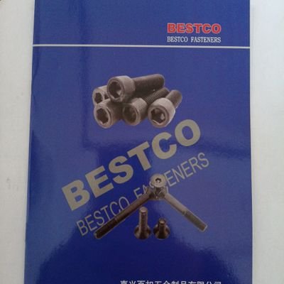 Produce items: Hex socket screws; Hex countersunk screws;Carriage bolts;Guardrail bolts and Different kinds of Nuts. welcome to contact us for our good price!
