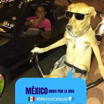 TollyAj's profile picture. Próvida!