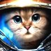 meow (@foorpfokrow) Twitter profile photo meow (@foorpfokrow) Twitter profile photo