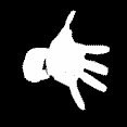 sharks77's profile picture. 