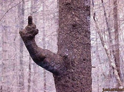 taianxihu's profile picture. 鄙視共匪！加我google+哦，https://t.co/UurLbePVON，謝謝