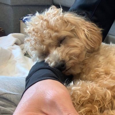 す-じ−🔔🌴 (@ssuuzzuukkii) / Posts / X