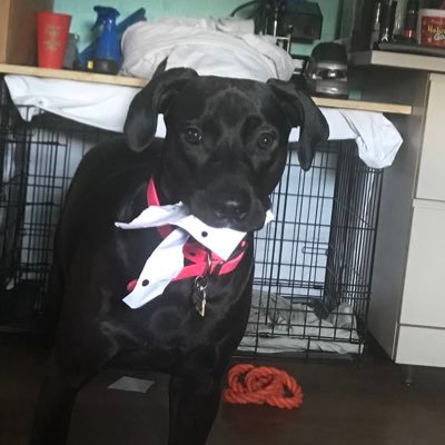 lilpettyman's profile picture. 