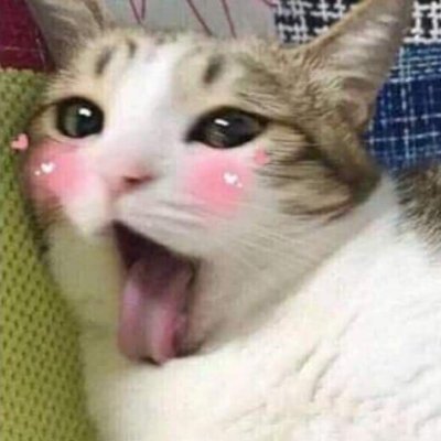 hi 😊
