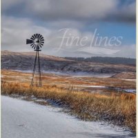 Fine Lines Journal (@finelinesj) 's Twitter Profile