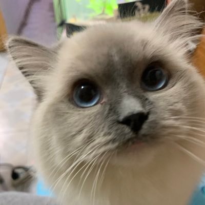 hanzhiyuan720's profile picture. 