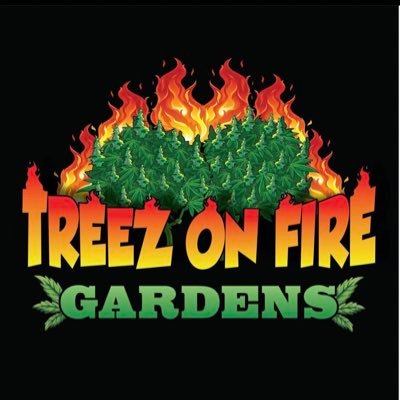 treezonfire707's profile picture. 