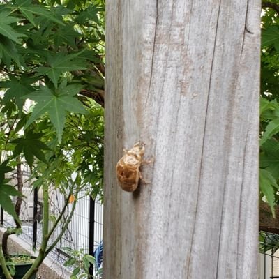 --17歳--勉強目覚めました。--フォロー返します。--