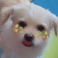 あ (@honeyworksko) Twitter profile photo