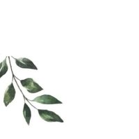حَسنْآت (@hasan3t) 's Twitter Profile Photo