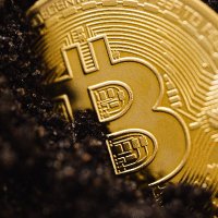 Games&Crypto (@gamescrypto1) 's Twitter Profile