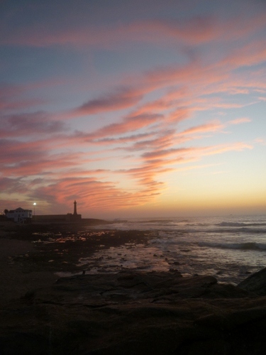 xtrahardwareCR's profile picture. Dobrodošli. Mi smo pružiti našim klijentima s kvalitetom hardvera, kuća materijale, travnjak i vrt pomagala: brzo isporučen iz SAD-a po fer cijeni.