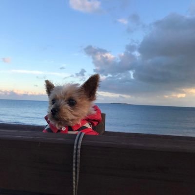 John_Ahn23's profile picture. 