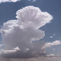 najm (@sfndo) 's Twitter Profile