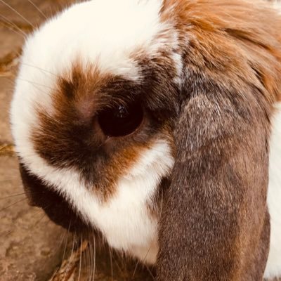 ぬまこさんのプロフィール画像