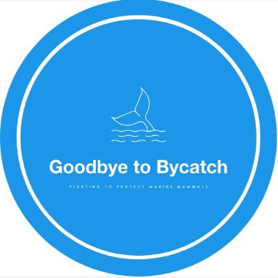 A conservation advocacy campaign aiming to reduce the impact of fishing bycatch toward marine mammals within the UK