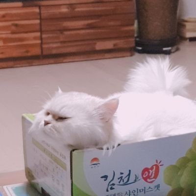 ㄱㅇㅎ지리さんのプロフィール画像