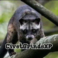 Civet(@CivetGrindsXPYT) 's Twitter Profile Photo